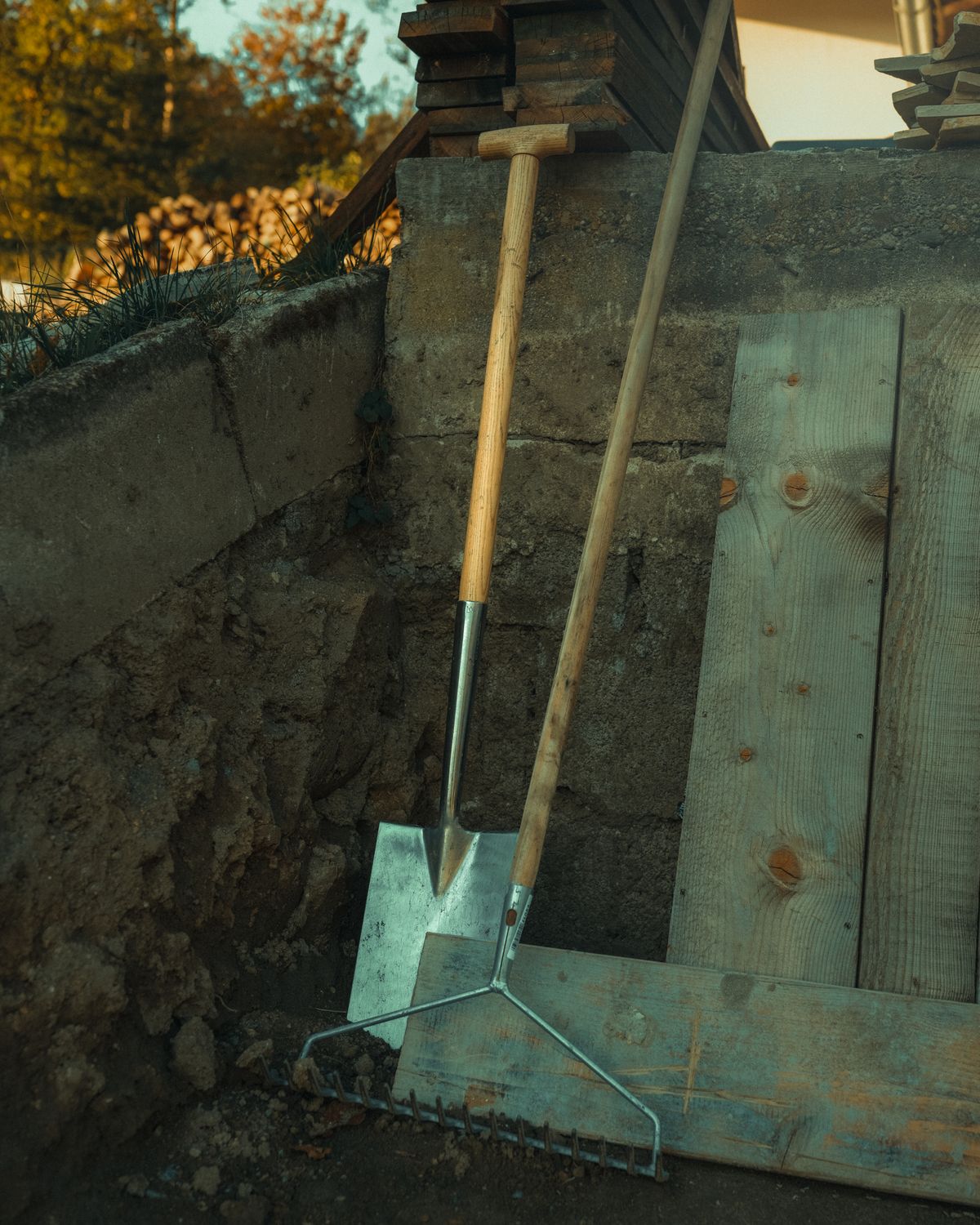 Wooden-handled garden spade and shovel leaning against garden soil